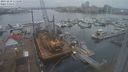 ./images/victoria/wharf/20231218/wharf20231218_111500.jpg