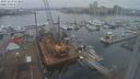 ./images/victoria/wharf/20231218/wharf20231218_112000.jpg