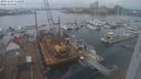 ./images/victoria/wharf/20231218/wharf20231218_114500.jpg
