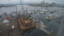 ./images/victoria/wharf/20231218/wharf20231218_115001.jpg