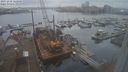 ./images/victoria/wharf/20231218/wharf20231218_122500.jpg