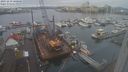 ./images/victoria/wharf/20231219/wharf20231219_100001.jpg