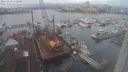 ./images/victoria/wharf/20231219/wharf20231219_112500.jpg
