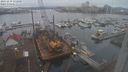 ./images/victoria/wharf/20231219/wharf20231219_132001.jpg