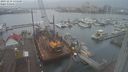 ./images/victoria/wharf/20231219/wharf20231219_135000.jpg