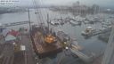 ./images/victoria/wharf/20231219/wharf20231219_145500.jpg