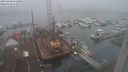 ./images/victoria/wharf/20231220/wharf20231220_112500.jpg