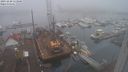./images/victoria/wharf/20231220/wharf20231220_113000.jpg