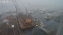./images/victoria/wharf/20231220/wharf20231220_114500.jpg