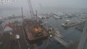 ./images/victoria/wharf/20231220/wharf20231220_115000.jpg