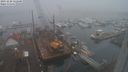 ./images/victoria/wharf/20231220/wharf20231220_122500.jpg