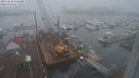 ./images/victoria/wharf/20231220/wharf20231220_124000.jpg