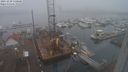 ./images/victoria/wharf/20231220/wharf20231220_130501.jpg