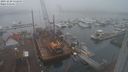 ./images/victoria/wharf/20231220/wharf20231220_132000.jpg