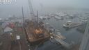 ./images/victoria/wharf/20231220/wharf20231220_134501.jpg
