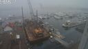 ./images/victoria/wharf/20231220/wharf20231220_140500.jpg