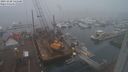 ./images/victoria/wharf/20231220/wharf20231220_141500.jpg