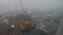 ./images/victoria/wharf/20231220/wharf20231220_150501.jpg