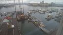 ./images/victoria/wharf/20231221/wharf20231221_092001.jpg