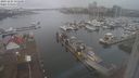 ./images/victoria/wharf/20231221/wharf20231221_151000.jpg