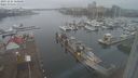 ./images/victoria/wharf/20231221/wharf20231221_160000.jpg