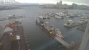 ./images/victoria/wharf/20231222/wharf20231222_102001.jpg