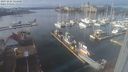 ./images/victoria/wharf/20231223/wharf20231223_124500.jpg