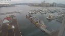 ./images/victoria/wharf/20231224/wharf20231224_085500.jpg