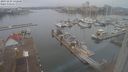 ./images/victoria/wharf/20231224/wharf20231224_132500.jpg