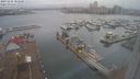 ./images/victoria/wharf/20231225/wharf20231225_085000.jpg
