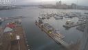 ./images/victoria/wharf/20231225/wharf20231225_085500.jpg