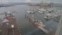 ./images/victoria/wharf/20231226/wharf20231226_141500.jpg