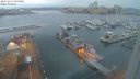 ./images/victoria/wharf/20231227/wharf20231227_083001.jpg