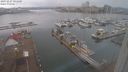 ./images/victoria/wharf/20231227/wharf20231227_091001.jpg