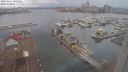 ./images/victoria/wharf/20231227/wharf20231227_093501.jpg