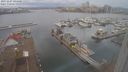 ./images/victoria/wharf/20231227/wharf20231227_094501.jpg