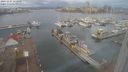 ./images/victoria/wharf/20231227/wharf20231227_100500.jpg