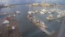 ./images/victoria/wharf/20231227/wharf20231227_101500.jpg