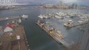 ./images/victoria/wharf/20231227/wharf20231227_102500.jpg