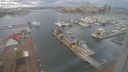 ./images/victoria/wharf/20231227/wharf20231227_104500.jpg