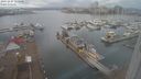 ./images/victoria/wharf/20231227/wharf20231227_111000.jpg