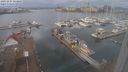./images/victoria/wharf/20231227/wharf20231227_113500.jpg