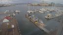./images/victoria/wharf/20231227/wharf20231227_114500.jpg