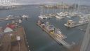 ./images/victoria/wharf/20231227/wharf20231227_122500.jpg