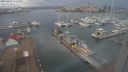 ./images/victoria/wharf/20231227/wharf20231227_124500.jpg
