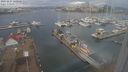 ./images/victoria/wharf/20231227/wharf20231227_130500.jpg
