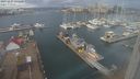./images/victoria/wharf/20231227/wharf20231227_131000.jpg