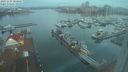 ./images/victoria/wharf/20231228/wharf20231228_081001.jpg