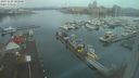 ./images/victoria/wharf/20231228/wharf20231228_082000.jpg