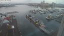 ./images/victoria/wharf/20231228/wharf20231228_083000.jpg